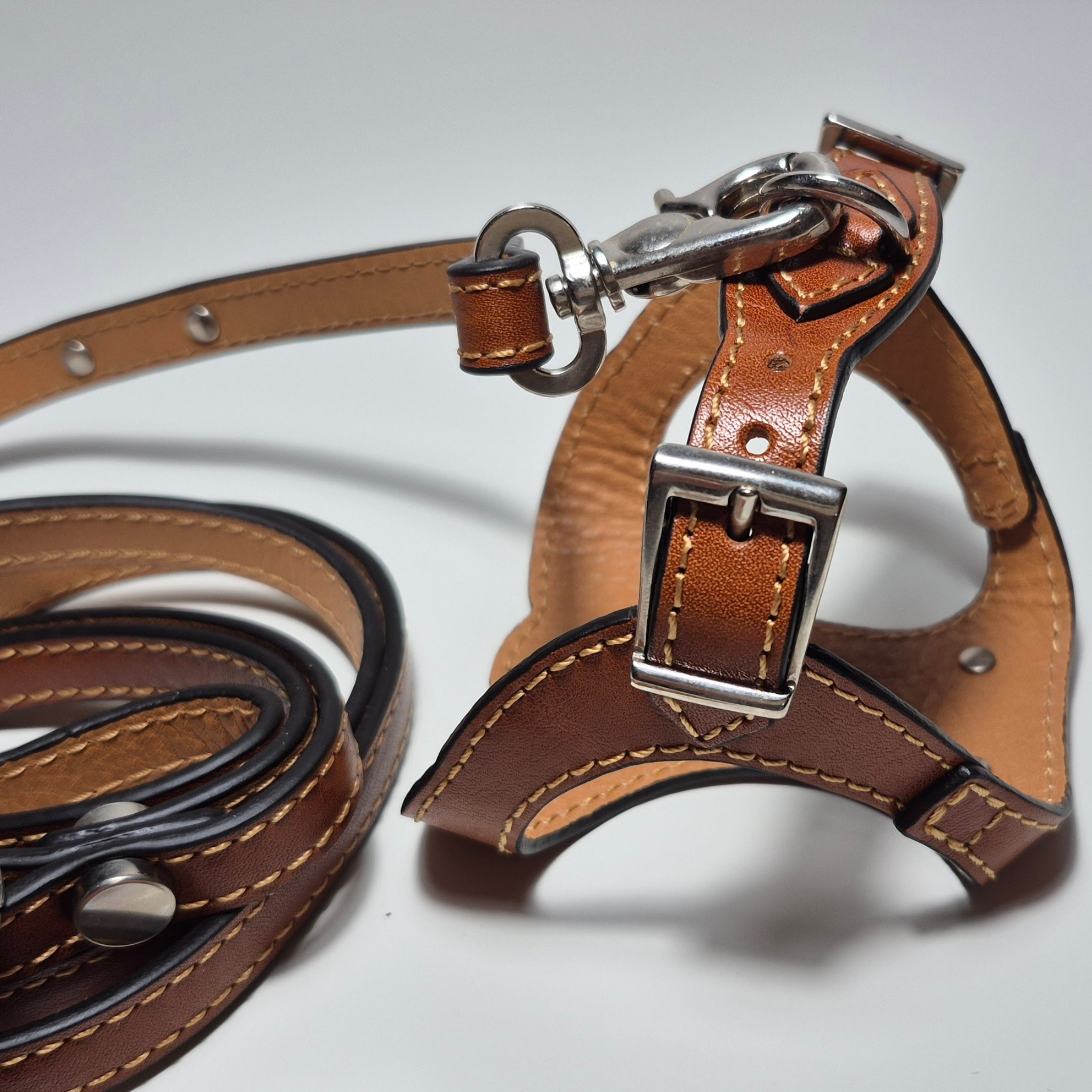 Set Pettorina e Guinzaglio in Pelle con Porta Sacchetti
